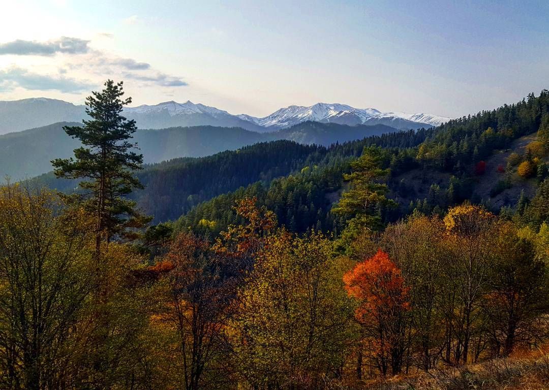حديقة خاراجالي بورجومي الوطنية: رحلة في أحضان الطبيعة الجورجية